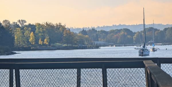Boats in the bay at Gene Coulon Park